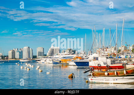 PUNTA DEL ESTE, URUGUAY, OCTOBER - 2018 - Boats parked at port in punta del este city, Uruguay Stock Photo