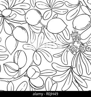 argan vector pattern on white background Stock Vector