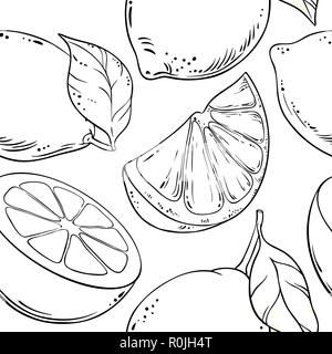 lemon fruit vector pattern on white background Stock Vector