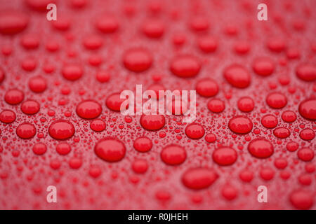 Closeup waterdrops on red ceramic coated paint surface, shallow focus Stock Photo