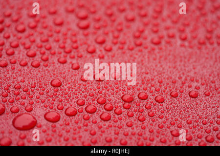 Closeup waterdrops on red ceramic coated paint surface, shallow focus Stock Photo