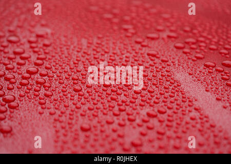 Closeup waterdrops on red ceramic coated paint surface, shallow focus Stock Photo