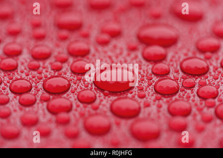 Closeup waterdrops on red ceramic coated paint surface, shallow focus Stock Photo
