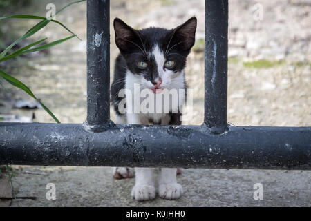 Zante Greece Stock Photo