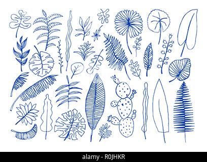 Vector set of hand-drawn bright tropical plants Stock Vector