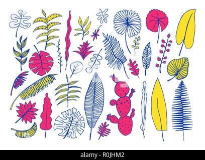 Vector set of hand-drawn bright tropical plants Stock Vector