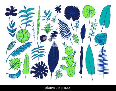 Vector set of hand-drawn bright tropical plants Stock Vector