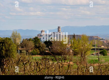 View of La Seu Vella of Lleida, old cathedral on background. Fields of aple trees. Sunny day. Stock Photo