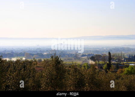 View of La Seu Vella of Lleida, old cathedral on background. Fields of olives trees. Sunny day with foggy clouds. Stock Photo