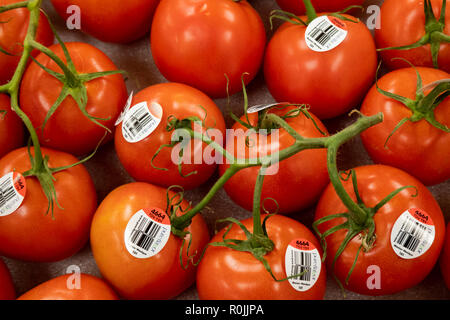 A display of fresh tomatoes on the vine in a small grocery store in Speculator, NY USA Stock Photo