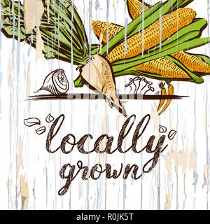 Locally grown illustration on wood. Vector food illustration. Stock Vector