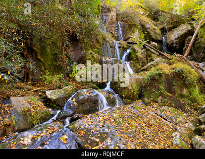 Roaring Fork Motor Nature Trail, Smoky Mountains National Park Stock Photo