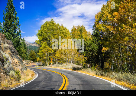 Driving through the Sonora Pass in the Eastern Sierra mountains on a sunny fall day; colorful aspen trees on the side of the road; California Stock Photo