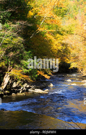 Little River in Autumn, Smoky Mountains National Park Stock Photo