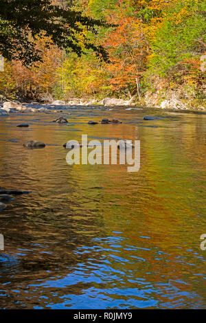 Little River in Autumn, Smoky Mountains National Park Stock Photo