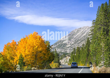 Travelling on a winding road lined up with colorful aspen trees on a sunny autumn day, Eastern Sierra mountains, California Stock Photo