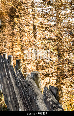 A weathered natural wooden fence in sunlight a fresh autumn day in an idyllic village on the countryside - Rural detail of old rustic wood facade. Stock Photo