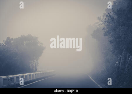 empty road in thick fog in forest landscape Stock Photo