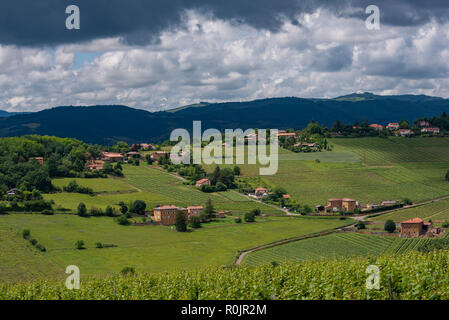 The Beaujolais wine growing landscape in France nestles under a dramatic cloudy sky. Stock Photo