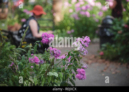 Scenes from the M'Finda Kalunga Community Garden on Manhattan's Lower East Side. Stock Photo