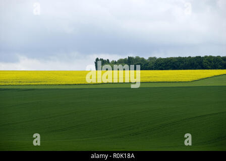 Battlefields during the World War One Battle of the Somme near the Lochnagar Crater are now farm fields, France. Stock Photo