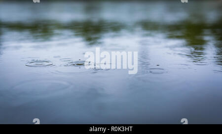 Rain drops in the water, calm nature weather background Stock Photo