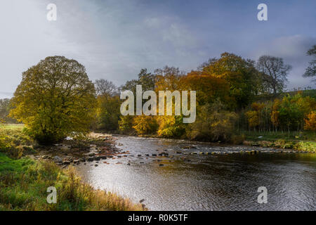 Stepping stones across the River Wharfe near Hebden in the Yorkshire Dales National Park in the autumn Stock Photo