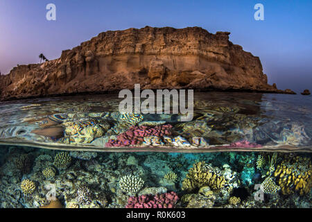 A beautiful coral reef sits just under the surface of the water near a desert mountain. Stock Photo