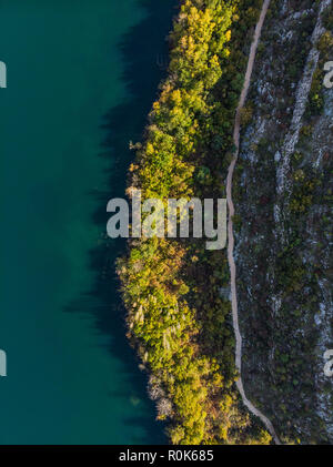 Colorful trees at lake edge, top down drone view. Stock Photo