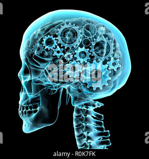 Human skull x-ray with gears. Stock Photo