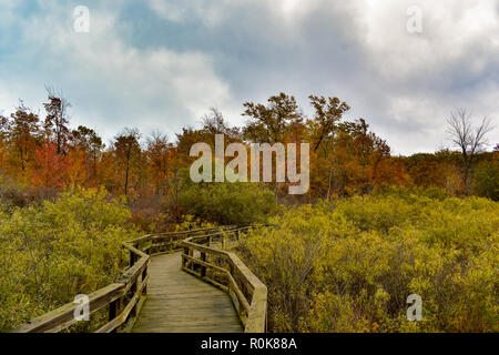 Autumn boardwalk at Huron Nature Center, Located in the Midwest, Michigan. Taken on a cloudy Fall Day. The leaves were just starting to peak in color. Stock Photo