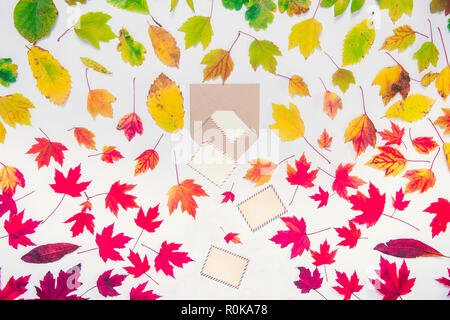 Creative Top view autumn composition - blank cards falling out of the craft paper envelope on fallen leaves gradient colorful rainbow background. Temp Stock Photo