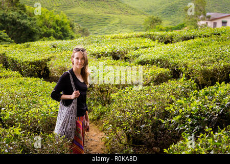 Landscape with young tourist on Bharat tea plantation in Cameron Highlands mountains in national park in Malaysia. Agriculture of south east Asia. Stock Photo