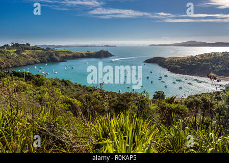 incoming Auckland Feery at Waiheke Island, New Zealand Stock Photo