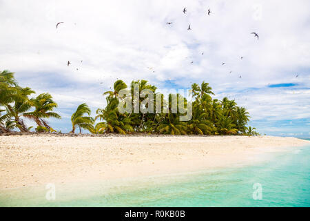 Small remote tropical island (motu) overgrown with palms in azure turquoise blue lagoon. Yellow sandy beach, big flock of birds flying above. Tuvalu. Stock Photo