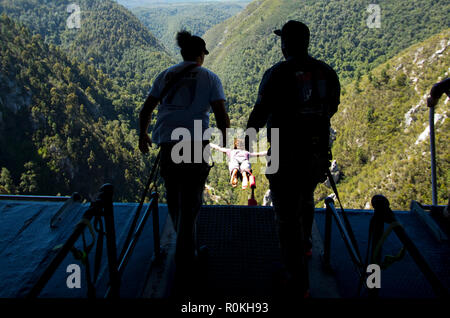 Bungee jumping at Bloukrans Stock Photo