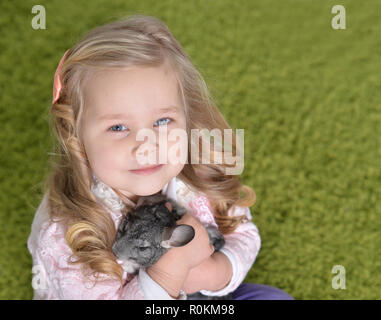 Portrait of a cute girl playing with chinchilla Stock Photo