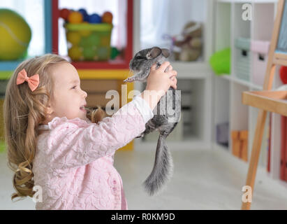 Portrait of a cute girl playing with chinchilla Stock Photo