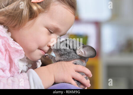 Portrait of a cute girl playing with chinchilla Stock Photo