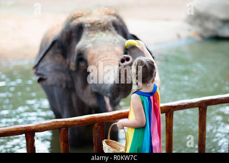 Family feeding elephant in zoo. Children feed Asian elephants in tropical safari park during summer vacation in Singapore. Kids watch animals. Little  Stock Photo