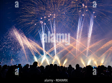 People watching fireworks in night sky Stock Photo