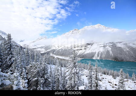 Spectacular winter scene at Peyto Lake in Banff National Park, Canada, with mountains and trees covered by snow.  Image of popular tour attraction. Stock Photo