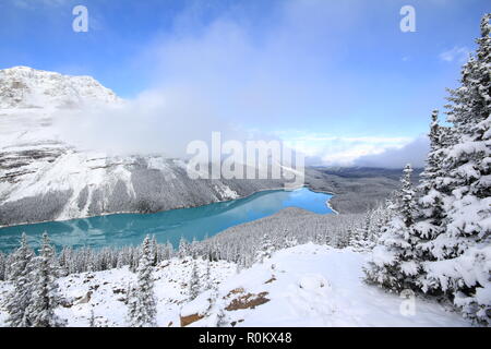 Spectacular winter scene at Peyto Lake in Banff National Park, Canada, with mountains and trees covered by snow.  Image of popular tour attraction. Stock Photo