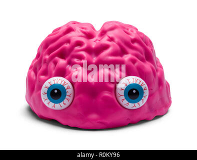Brain Front with Eyes Isolated on a White Background. Stock Photo