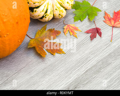 A beautiful festive fall or autumn background with colorful maple leaves and part of squash and pumpkin on a gray wood grain backdrop with open space. Stock Photo