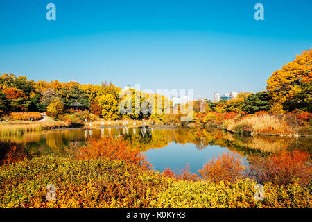 Olympic park, autumn maple and lake in Seoul, Korea Stock Photo