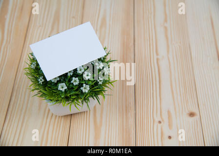 Blank business cards and little decorative tree in white vase on wooden working table with copy space for add text ID. and logo, business company conc Stock Photo