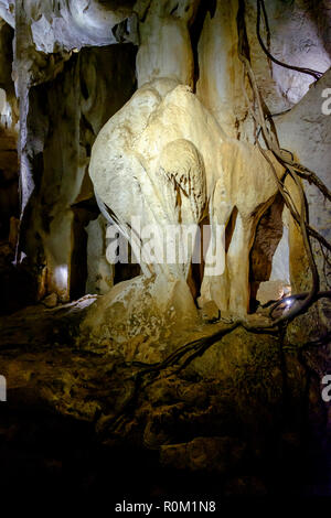 At Capricorn Caves - Cathedral Cave tour Stock Photo