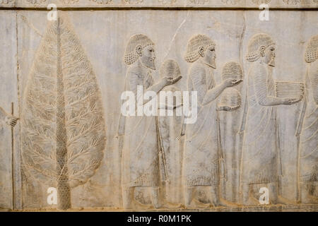 A bas-relief of Greeks men were bearing gifts at Apadana, East Stairs, southern part of Persepolis. Shiraz, Iran. Stock Photo