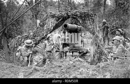 WW1: BATTLE OF AMIENS August 1918. Camouflaged Allied artillery emplacement. Stock Photo